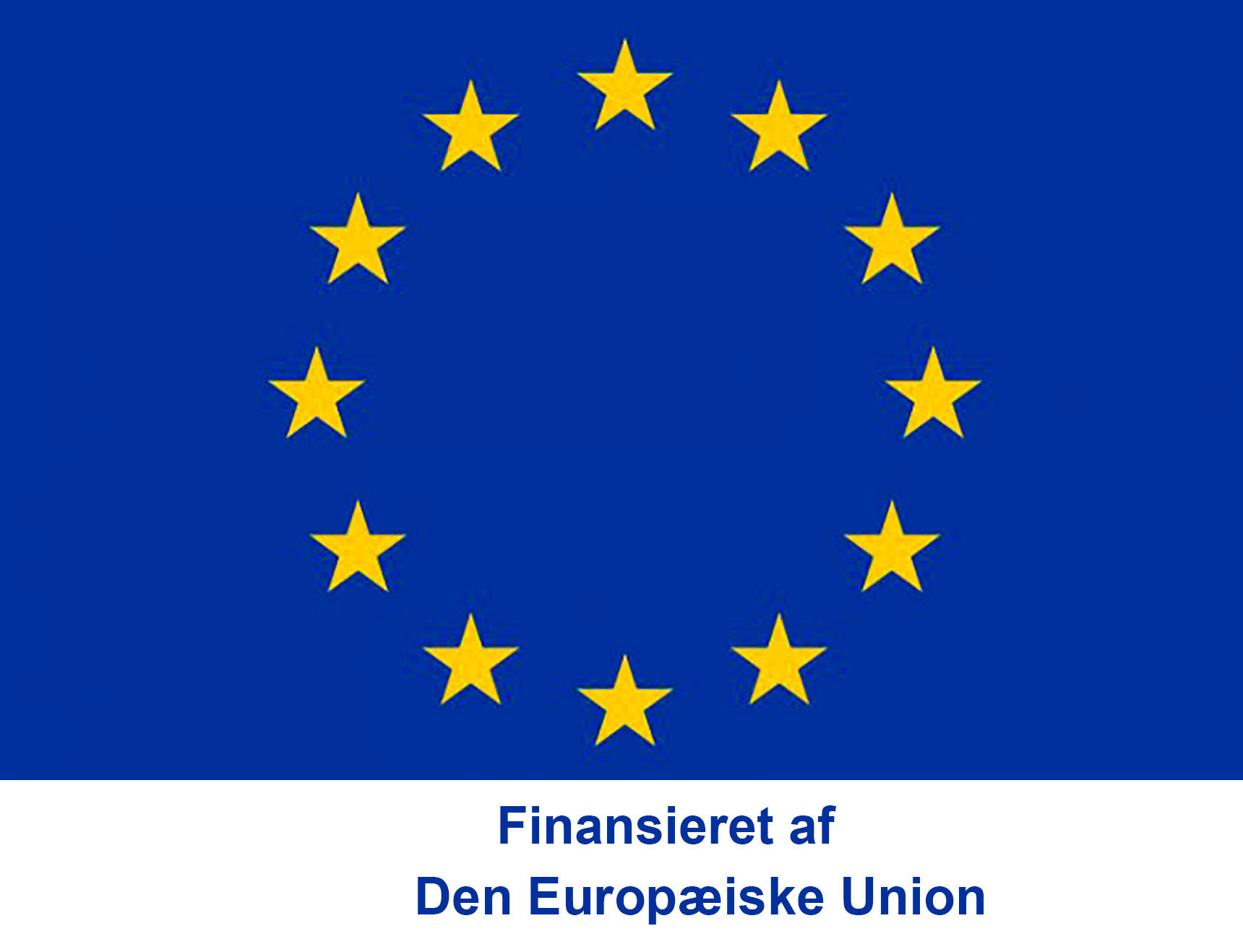Erasmus +